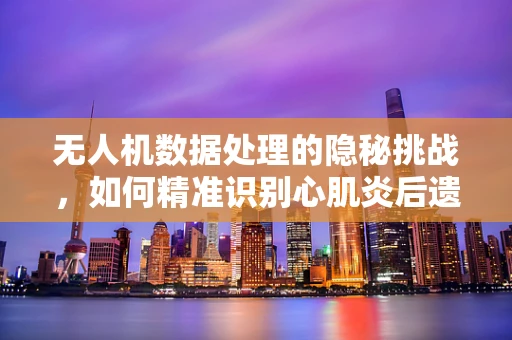 无人机数据处理的隐秘挑战，如何精准识别心肌炎后遗症患者的飞行环境适应性？