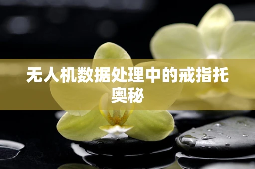 无人机数据处理中的戒指托奥秘