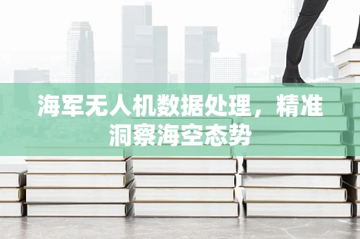海军无人机数据处理，精准洞察海空态势