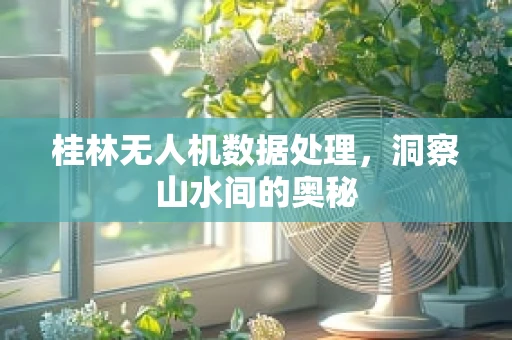 桂林无人机数据处理，洞察山水间的奥秘