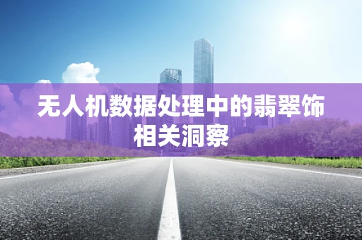 无人机数据处理中的翡翠饰相关洞察
