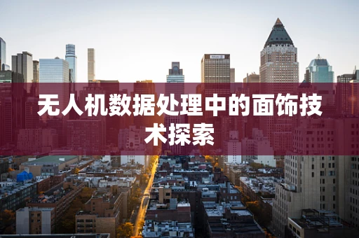 无人机数据处理中的面饰技术探索