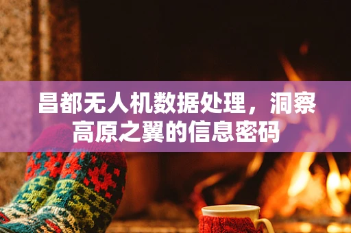 昌都无人机数据处理，洞察高原之翼的信息密码