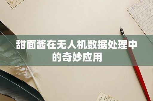 甜面酱在无人机数据处理中的奇妙应用