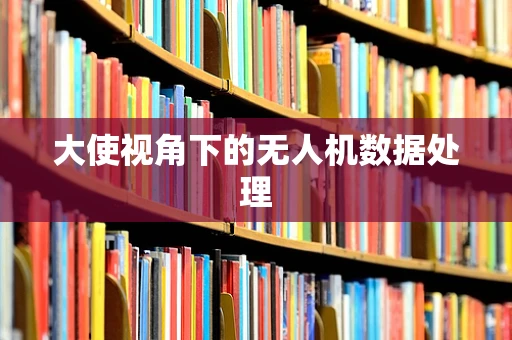 大使视角下的无人机数据处理