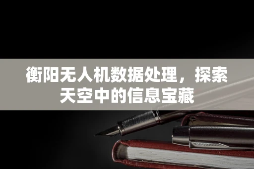 衡阳无人机数据处理，探索天空中的信息宝藏