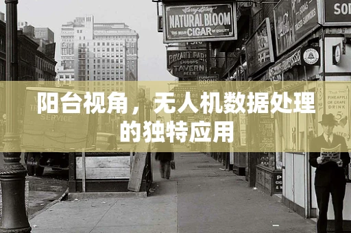 阳台视角，无人机数据处理的独特应用