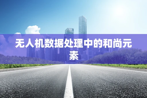 无人机数据处理中的和尚元素