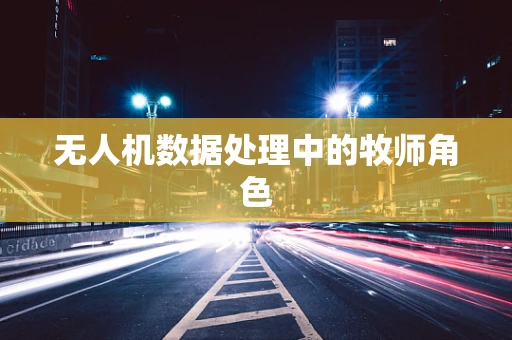 无人机数据处理中的牧师角色