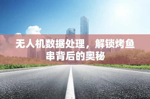 无人机数据处理，解锁烤鱼串背后的奥秘
