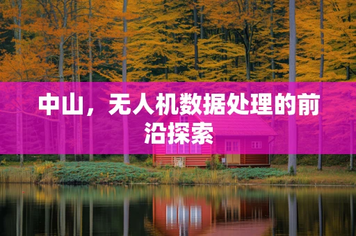 中山，无人机数据处理的前沿探索