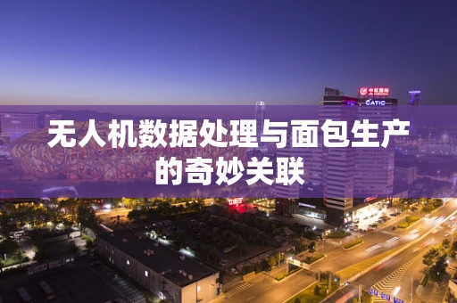 无人机数据处理与面包生产的奇妙关联