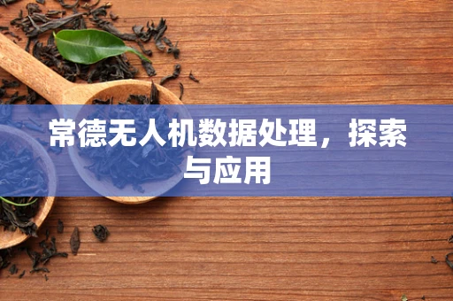 常德无人机数据处理，探索与应用