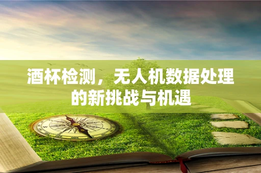 酒杯检测，无人机数据处理的新挑战与机遇