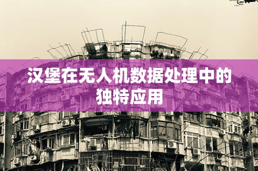 汉堡在无人机数据处理中的独特应用