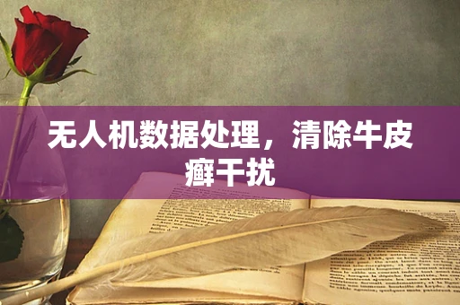 无人机数据处理，清除牛皮癣干扰