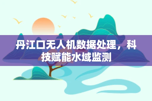 丹江口无人机数据处理，科技赋能水域监测