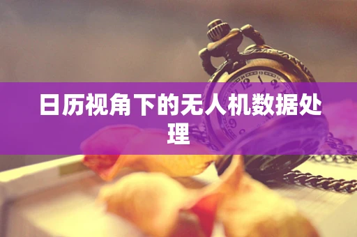 日历视角下的无人机数据处理
