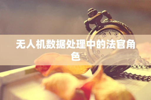 无人机数据处理中的法官角色