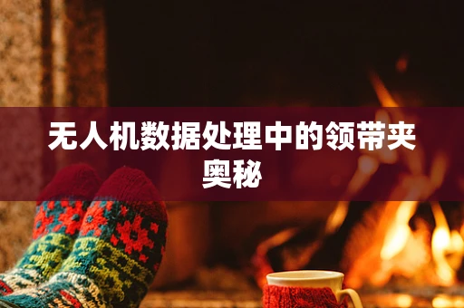 无人机数据处理中的领带夹奥秘