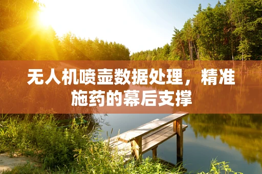 无人机喷壶数据处理，精准施药的幕后支撑