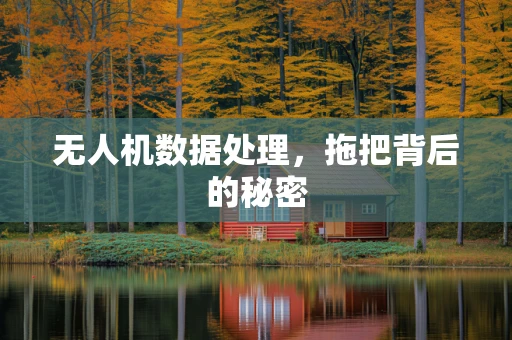 无人机数据处理，拖把背后的秘密