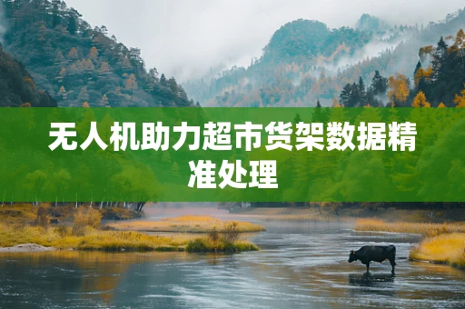 无人机助力超市货架数据精准处理