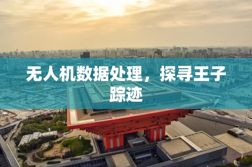 无人机数据处理，探寻王子踪迹