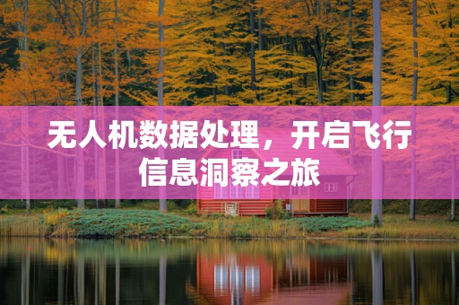 无人机数据处理，开启飞行信息洞察之旅