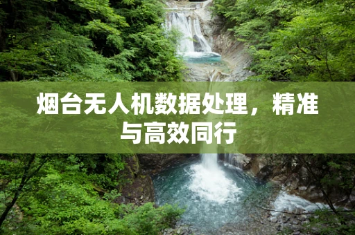 烟台无人机数据处理，精准与高效同行