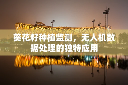 葵花籽种植监测，无人机数据处理的独特应用