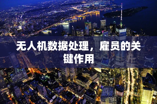 无人机数据处理，雇员的关键作用
