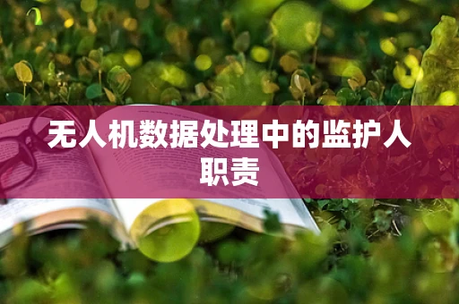 无人机数据处理中的监护人职责