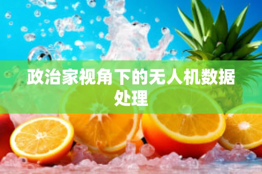 政治家视角下的无人机数据处理