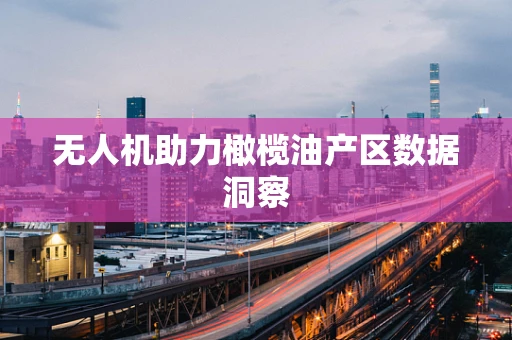 无人机助力橄榄油产区数据洞察