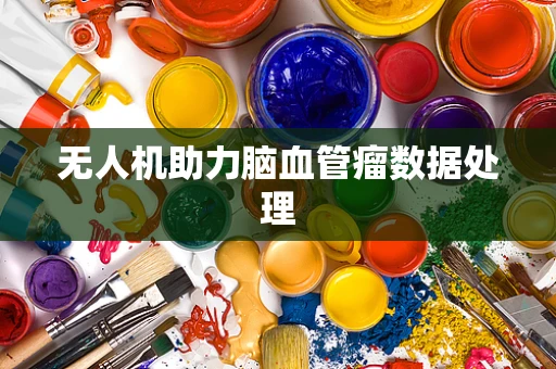 无人机助力脑血管瘤数据处理