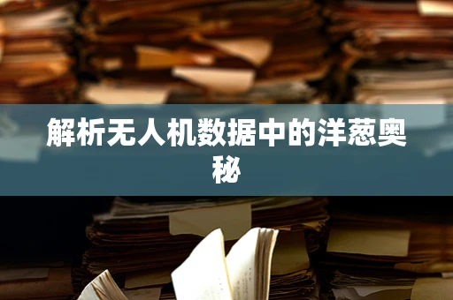 解析无人机数据中的洋葱奥秘
