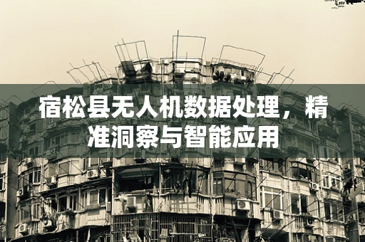 宿松县无人机数据处理，精准洞察与智能应用