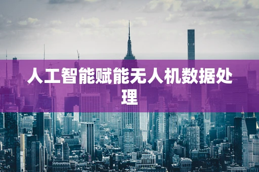 人工智能赋能无人机数据处理