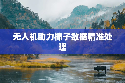 无人机助力柿子数据精准处理