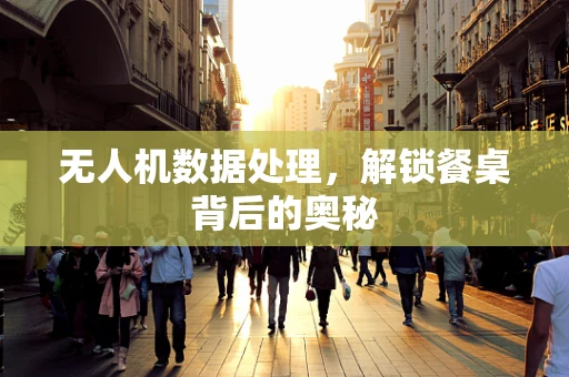 无人机数据处理，解锁餐桌背后的奥秘