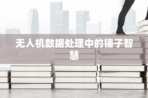 无人机数据处理中的锤子智慧