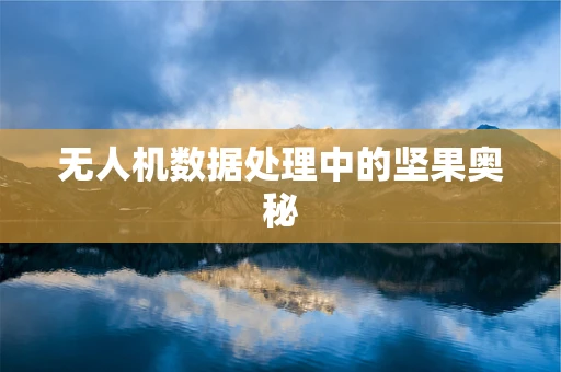 无人机数据处理中的坚果奥秘