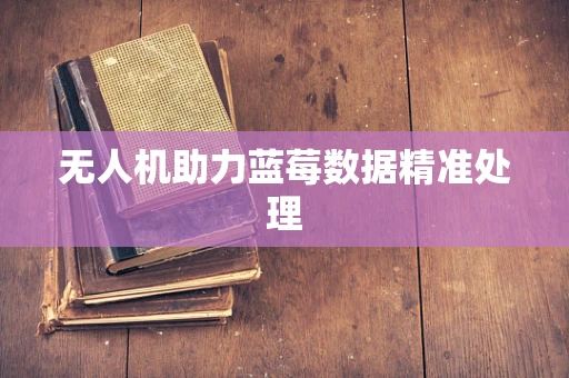 无人机助力蓝莓数据精准处理