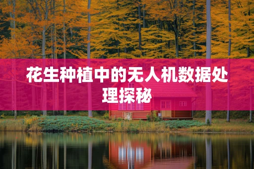 花生种植中的无人机数据处理探秘