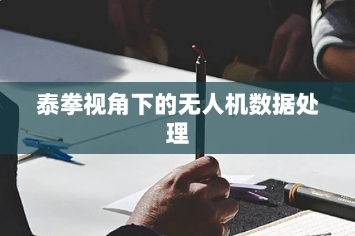 泰拳视角下的无人机数据处理