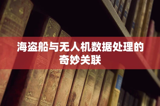 海盗船与无人机数据处理的奇妙关联