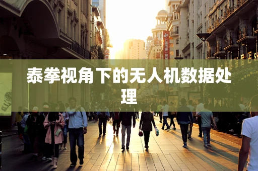 泰拳视角下的无人机数据处理