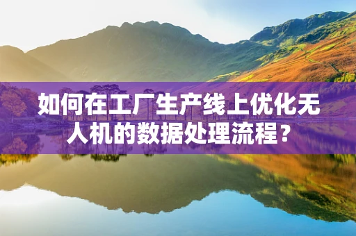 如何在工厂生产线上优化无人机的数据处理流程？