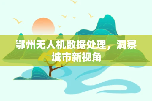鄂州无人机数据处理，洞察城市新视角